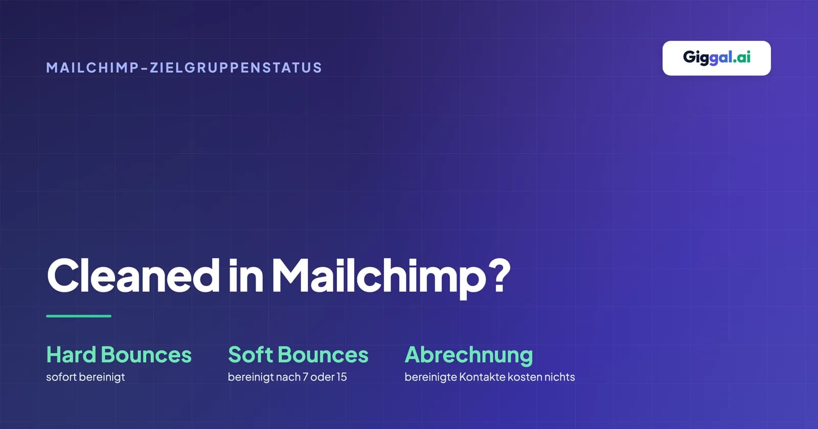 Leitfaden zum Status Cleaned in der Mailchimp-Zielgruppe mit Bounce-Ursachen und den Unterschieden zwischen den Status