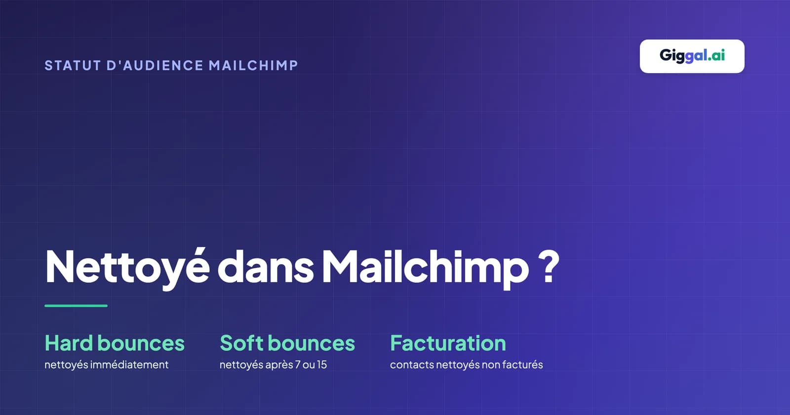 Guide sur le statut nettoyé (cleaned) d'une audience Mailchimp avec les causes de rebond et les différences entre statuts