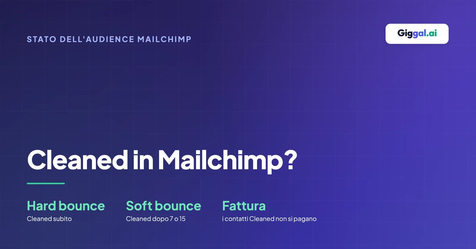 Guida allo stato Cleaned dell'audience Mailchimp con le cause dei bounce e le differenze tra gli stati