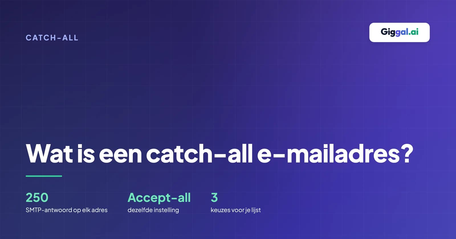 Een catch-all-domein dat elk adres accepteert, echt of niet