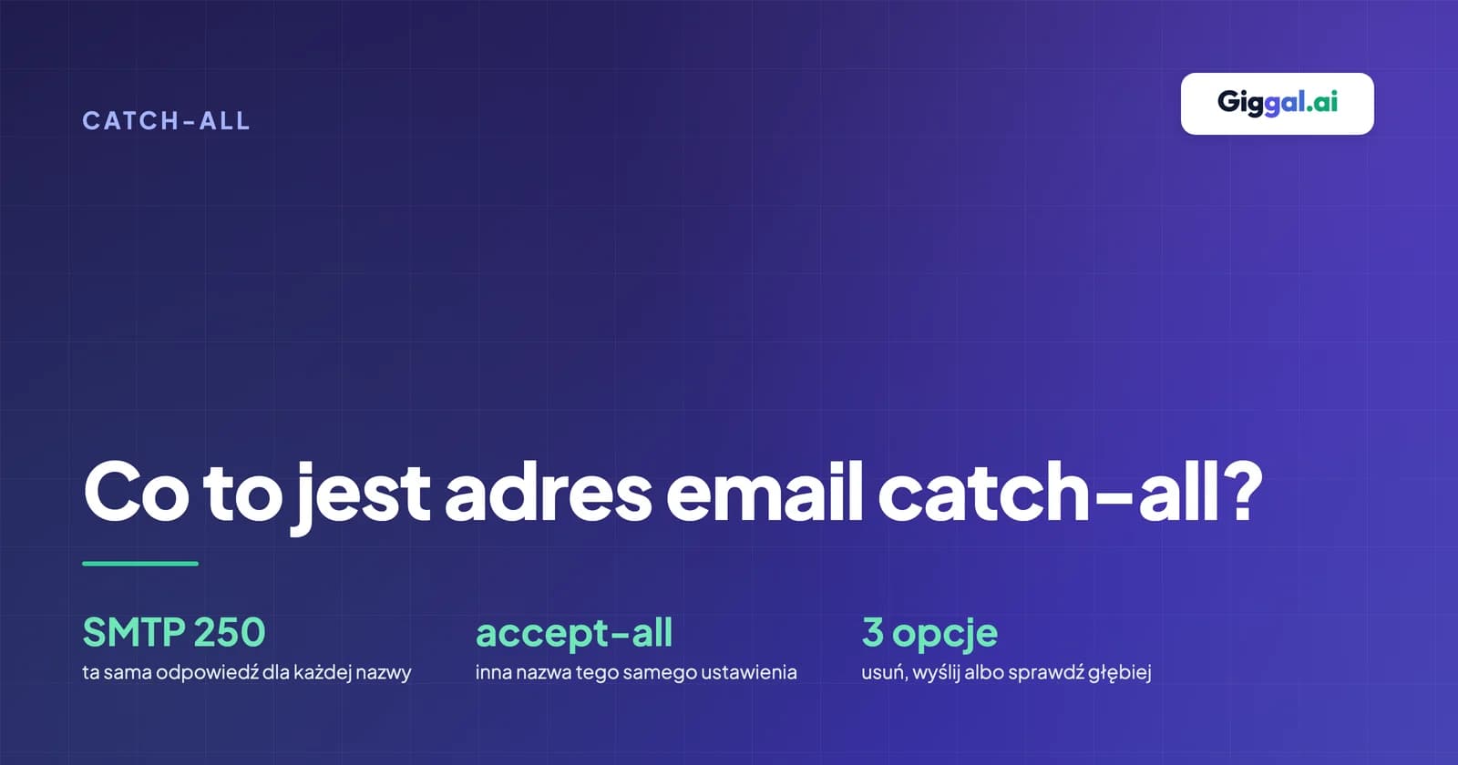 Co to jest adres email catch-all? Znaczenie i weryfikacja
