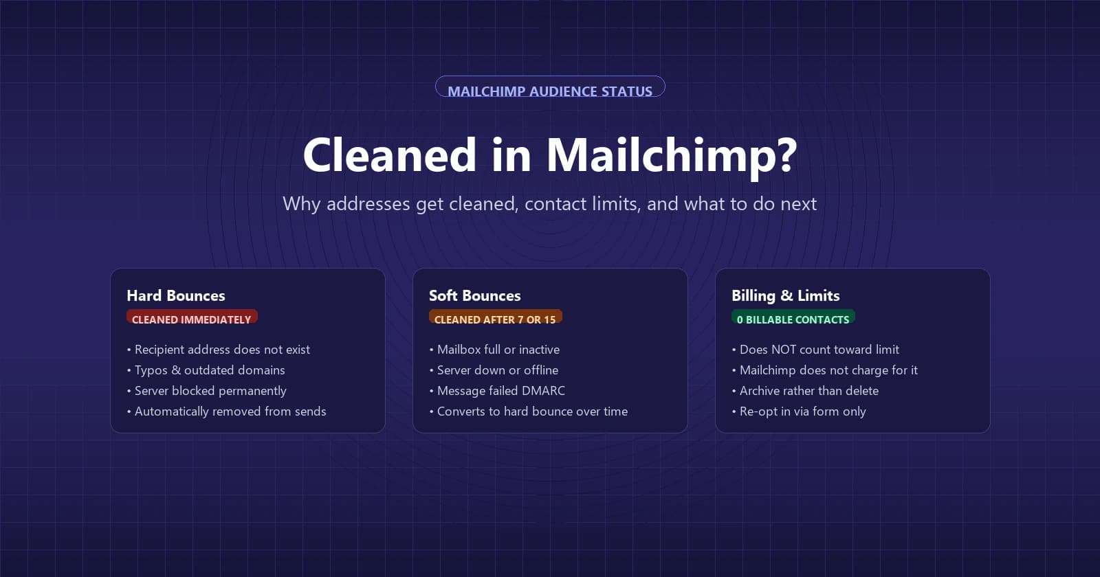 Cleaned in Mailchimp audience guide showing bounce causes and status differences