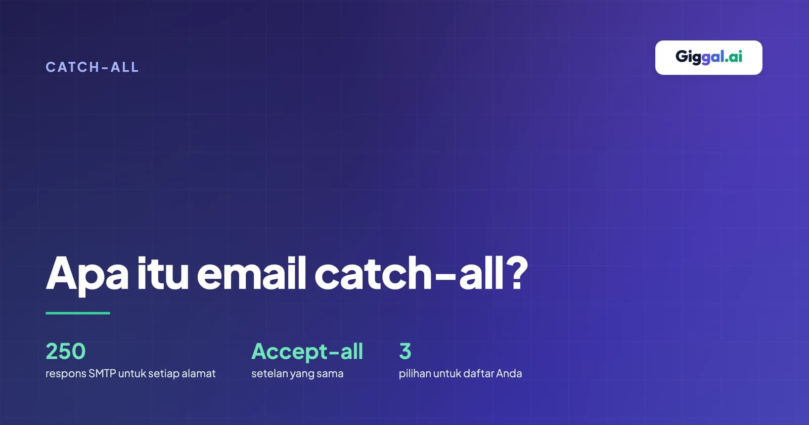 Domain catch-all yang menerima setiap alamat, nyata atau tidak